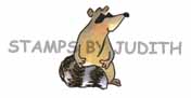 D-71 Sm. Raccoon
